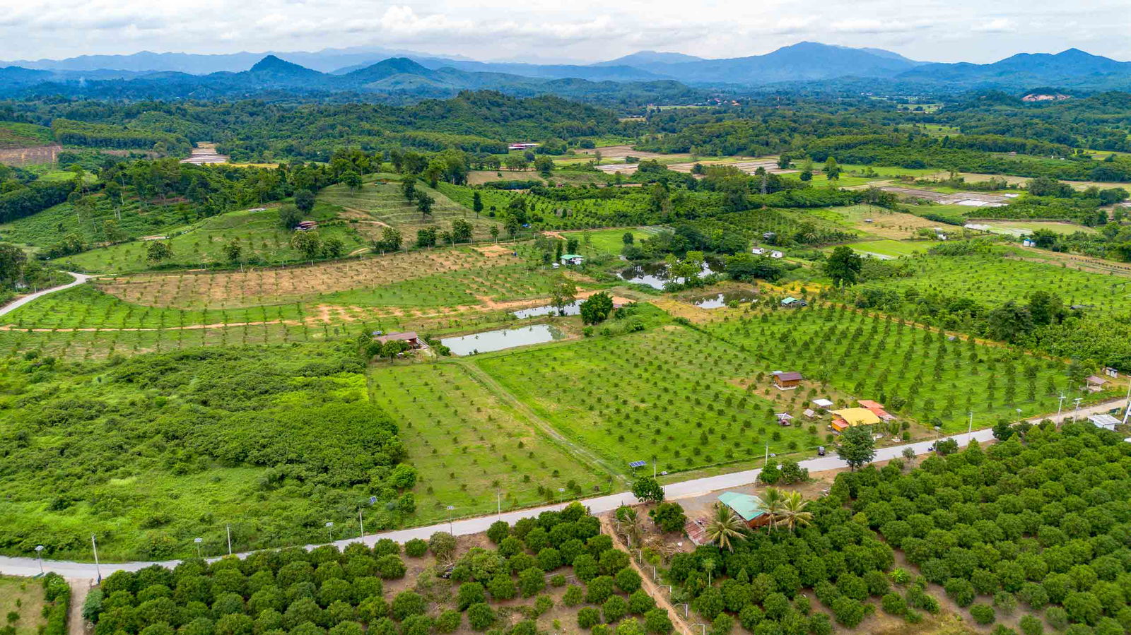 House and Land For Sale in Lap Lae, Uttaradit, Thailand - ID: PC-UD001