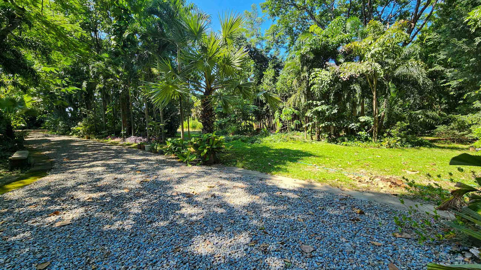 Land For Sale in Hang Dong, Chiang Mai, Thailand - ID: PC-HD011L