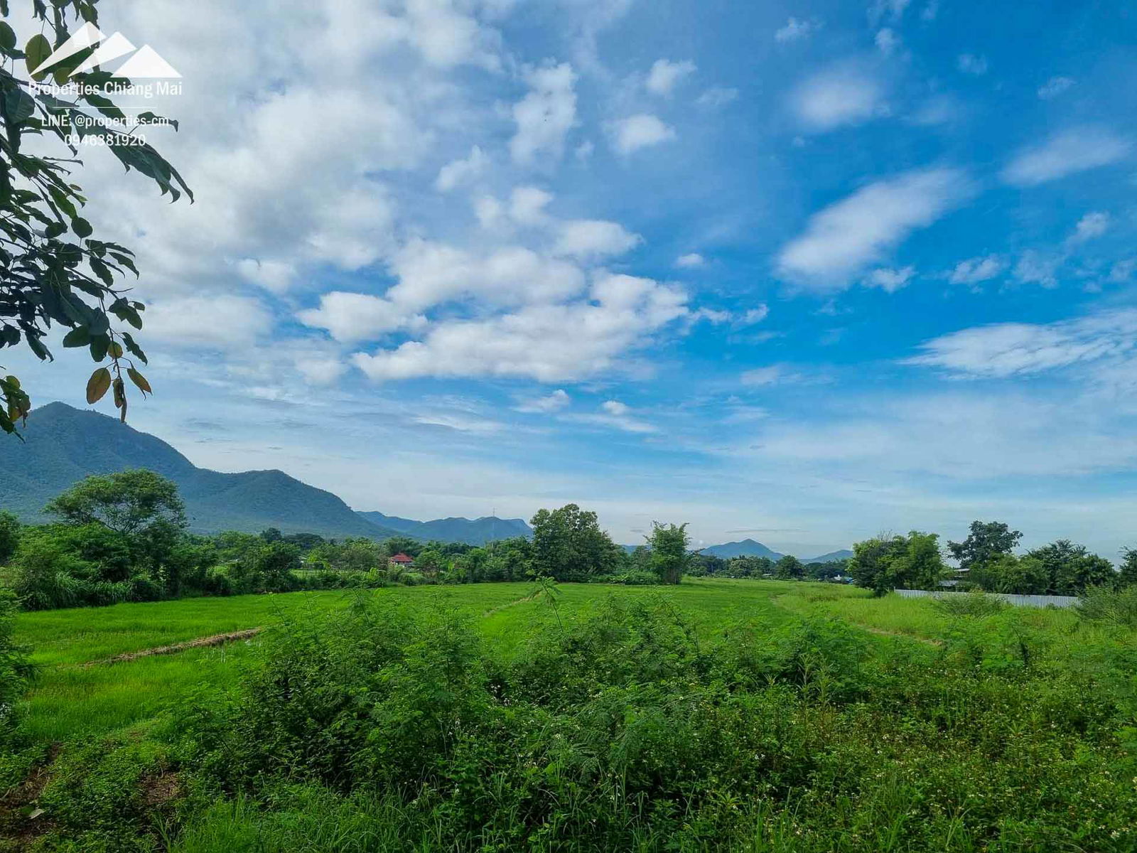 Land For Sale in Mae On, Chiang Mai, Thailand - ID: PC-MO002-2R