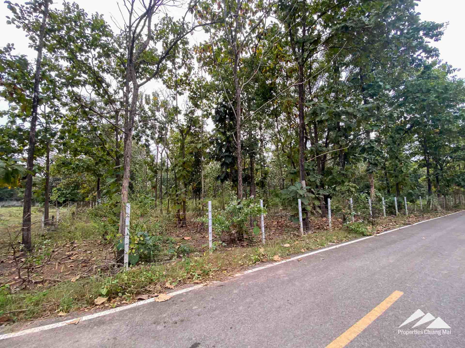 Land For Sale in Mae On, Chiang Mai, Thailand - ID: PC-MO003