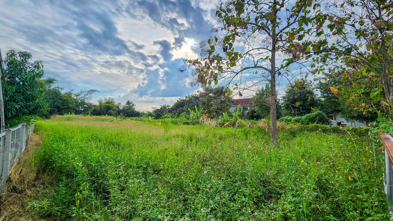 Land For Sale in San Kamphaeng, Chiang Mai, Thailand - ID: PC-SK001