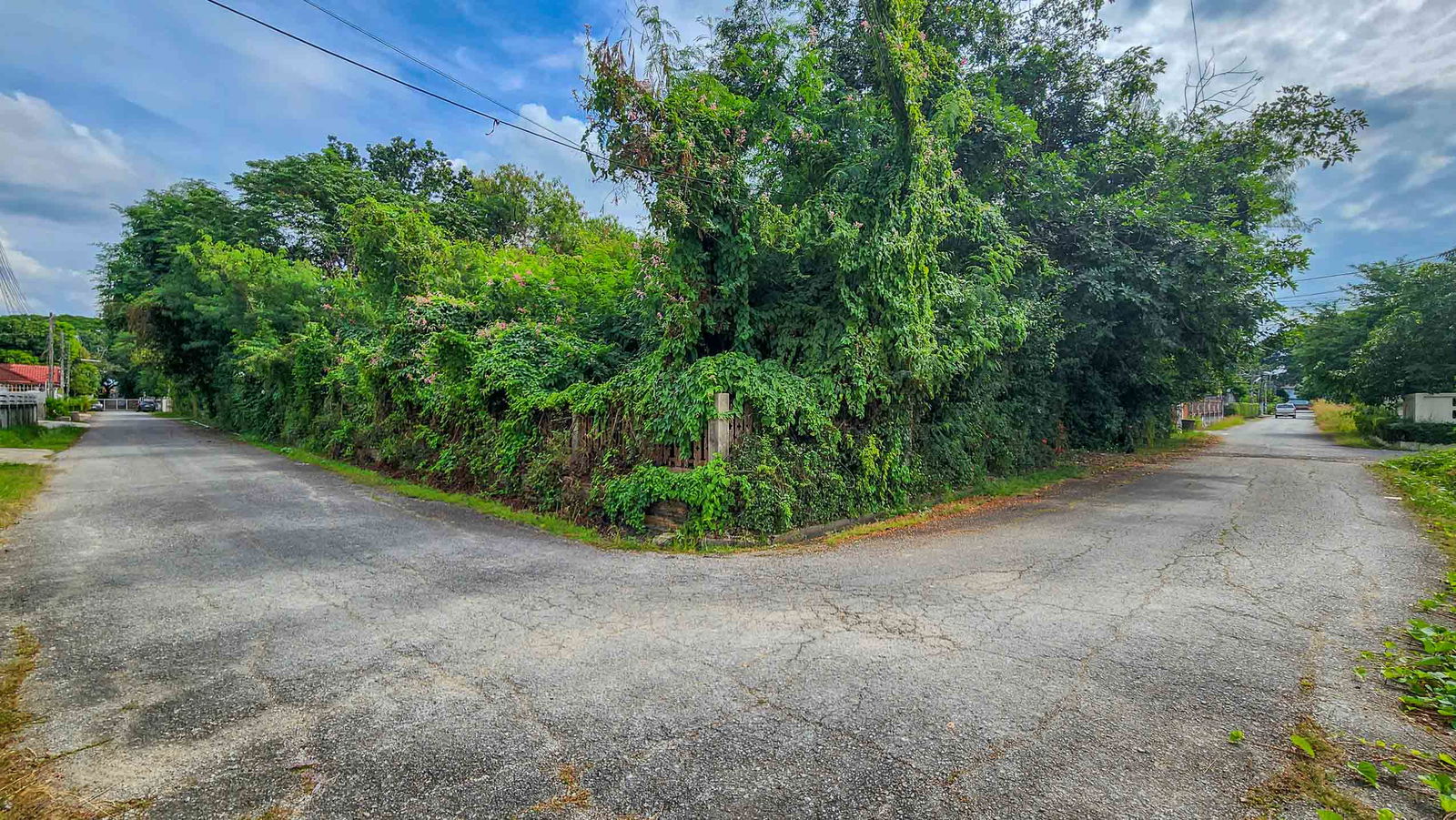 Land For Sale in Saraphi, Chiang Mai, Thailand - ID: PC-SAN001