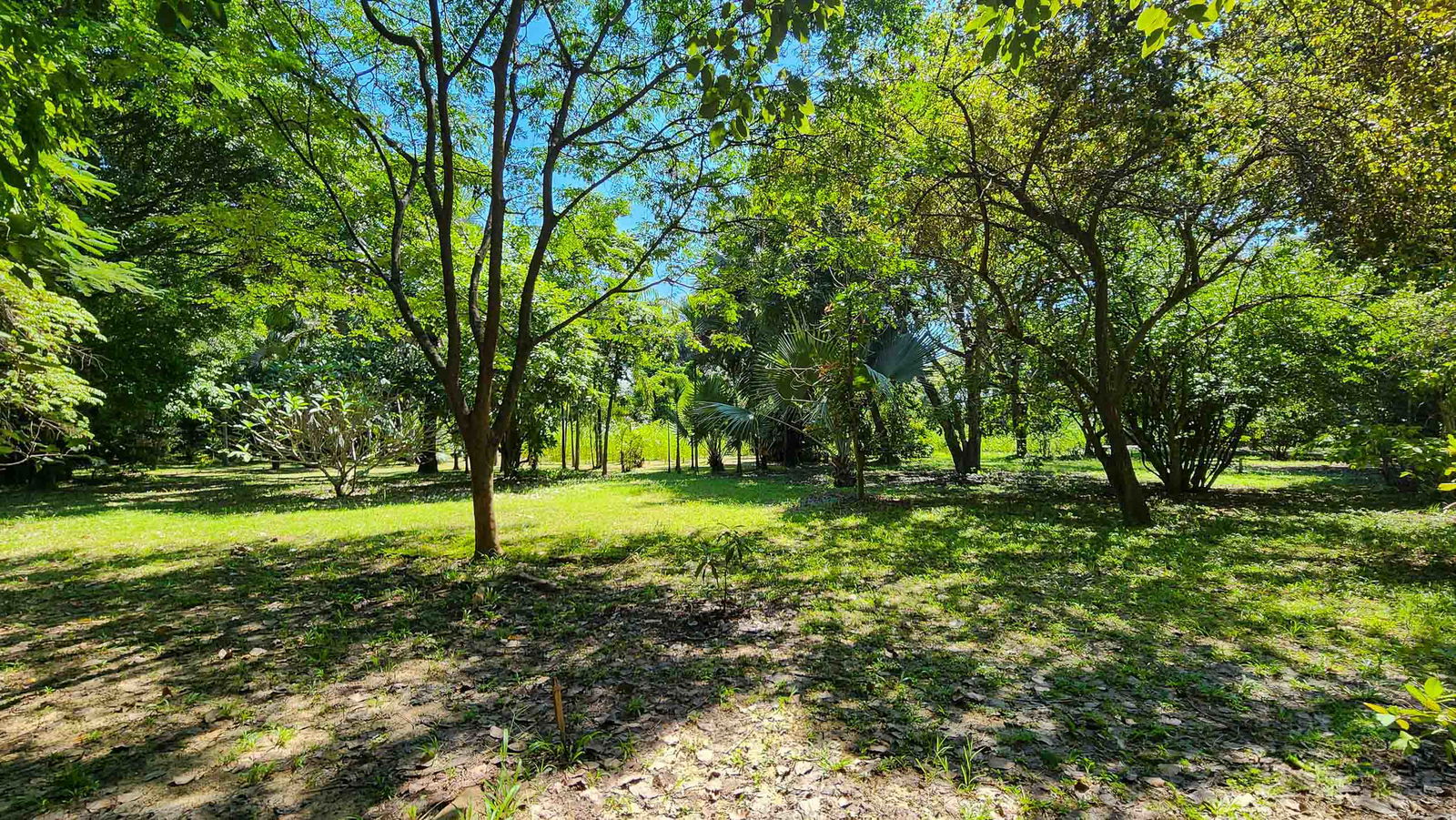 Warehouse and Land For Sale in Hang Dong, Chiang Mai, Thailand - ID: PC-HD011WL