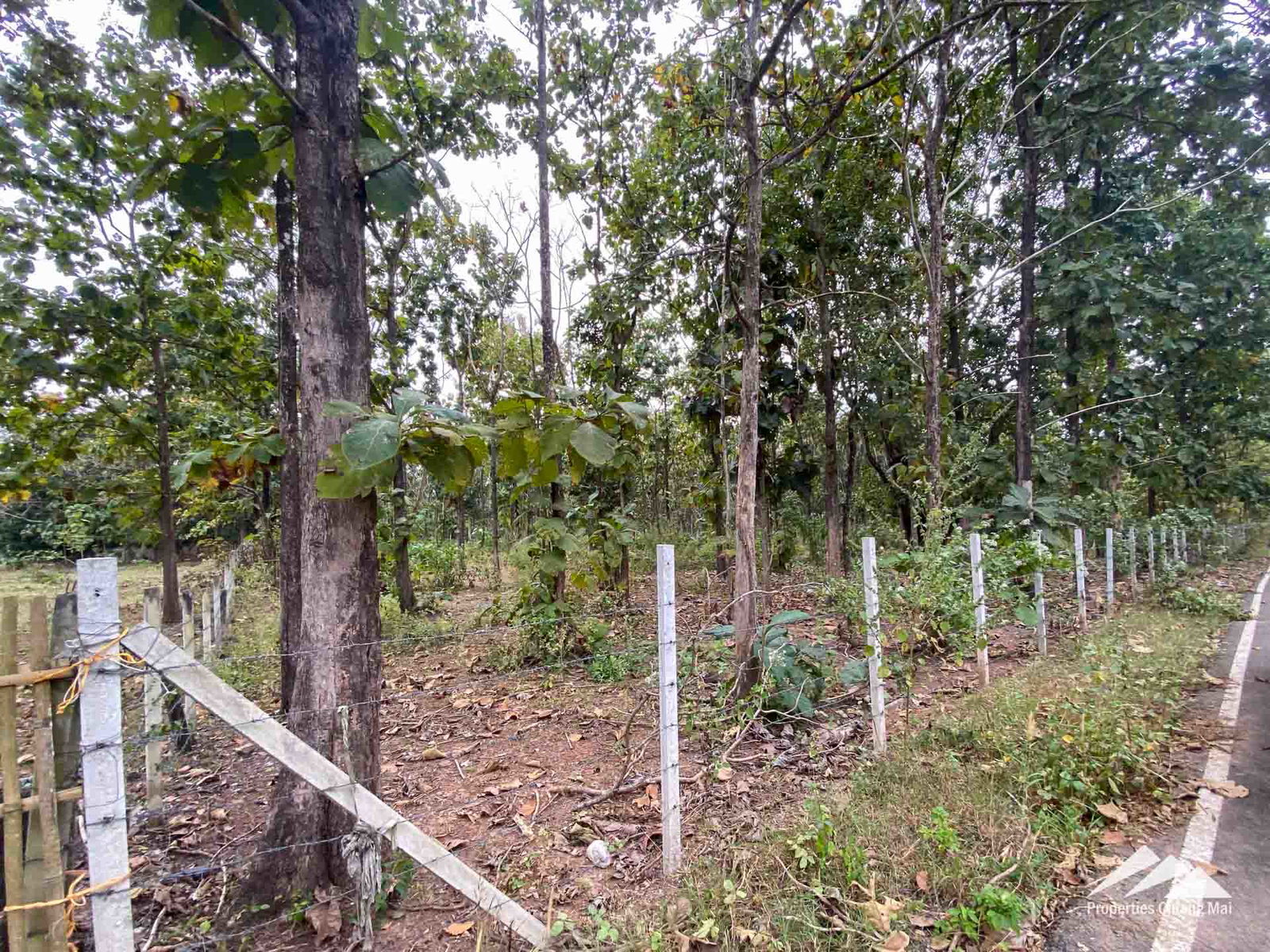 Land For Sale In Mae On