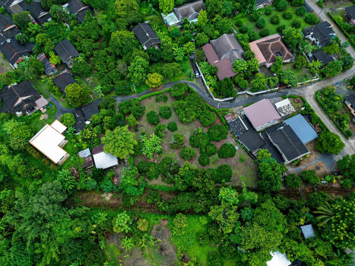Ideal Plot to Build Your Dream House