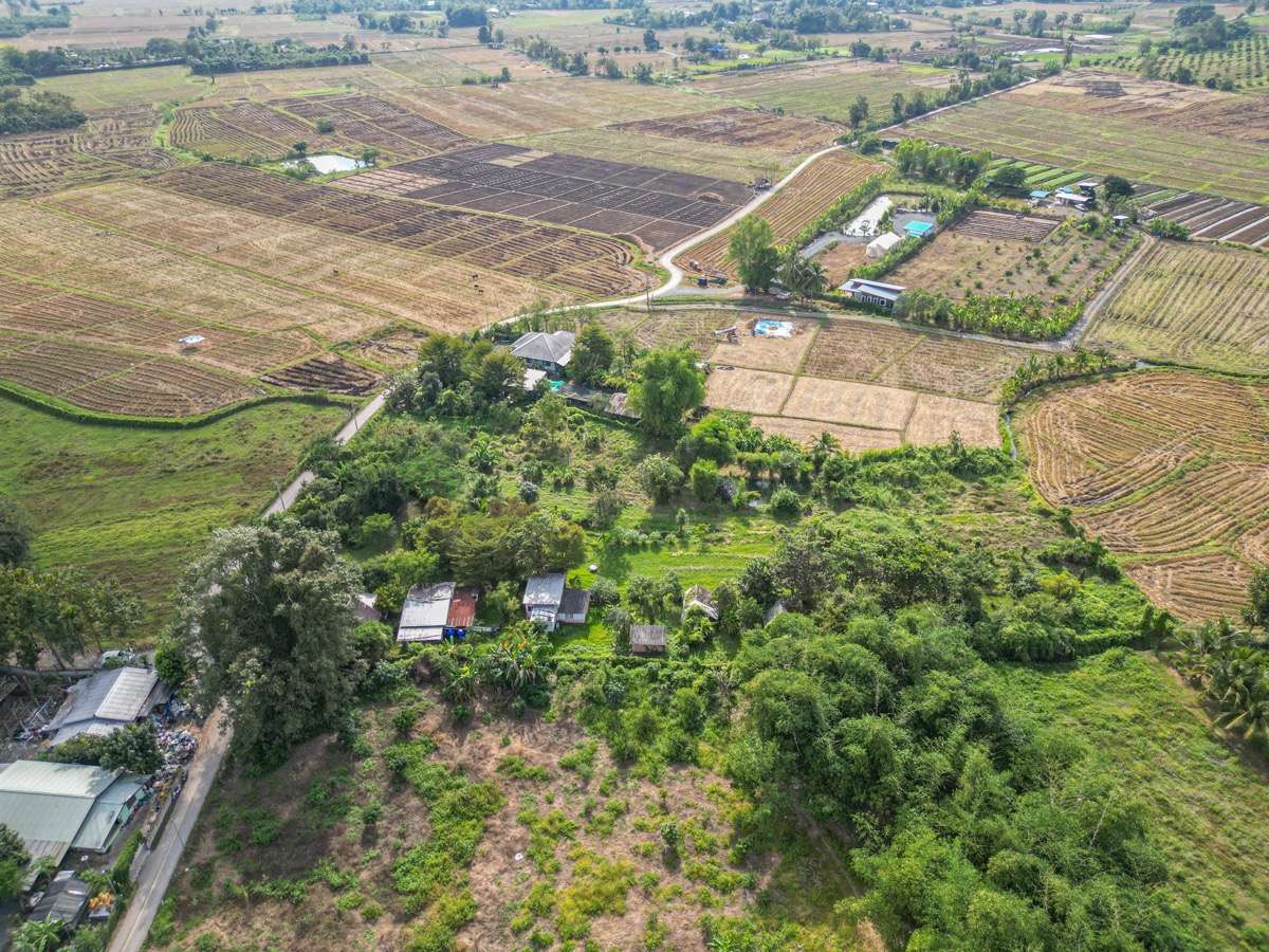Vacant Land For Sale : Mae Pong, Doi Saket