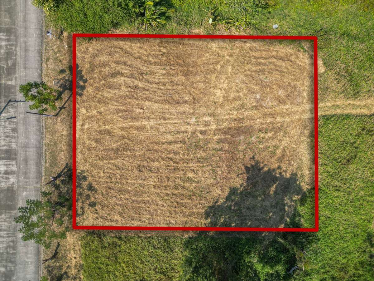 Land for Sale in Green Valley, Mae Rim – A Rare Opportunity