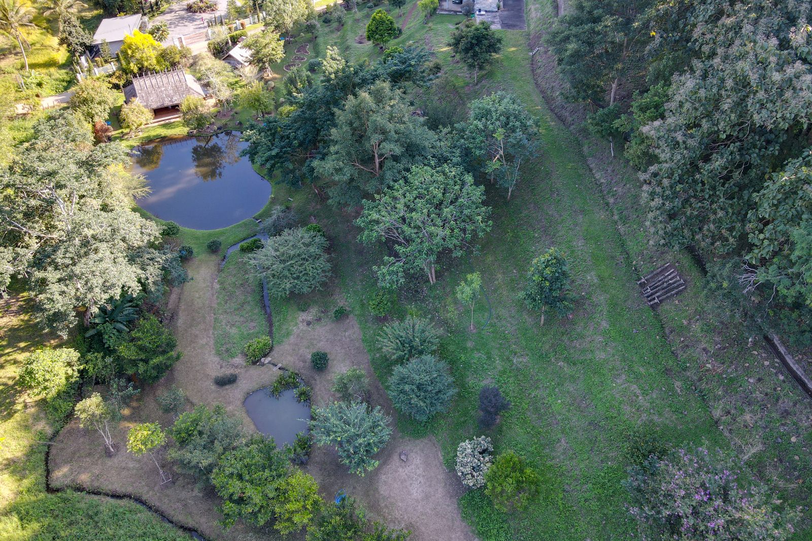 4 Rai Land with Private Pond & Near Prem International School