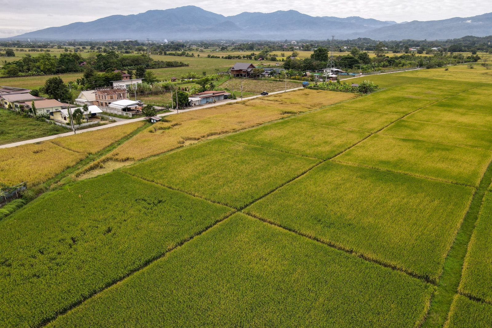 6 Rai with great views and rural surrounds