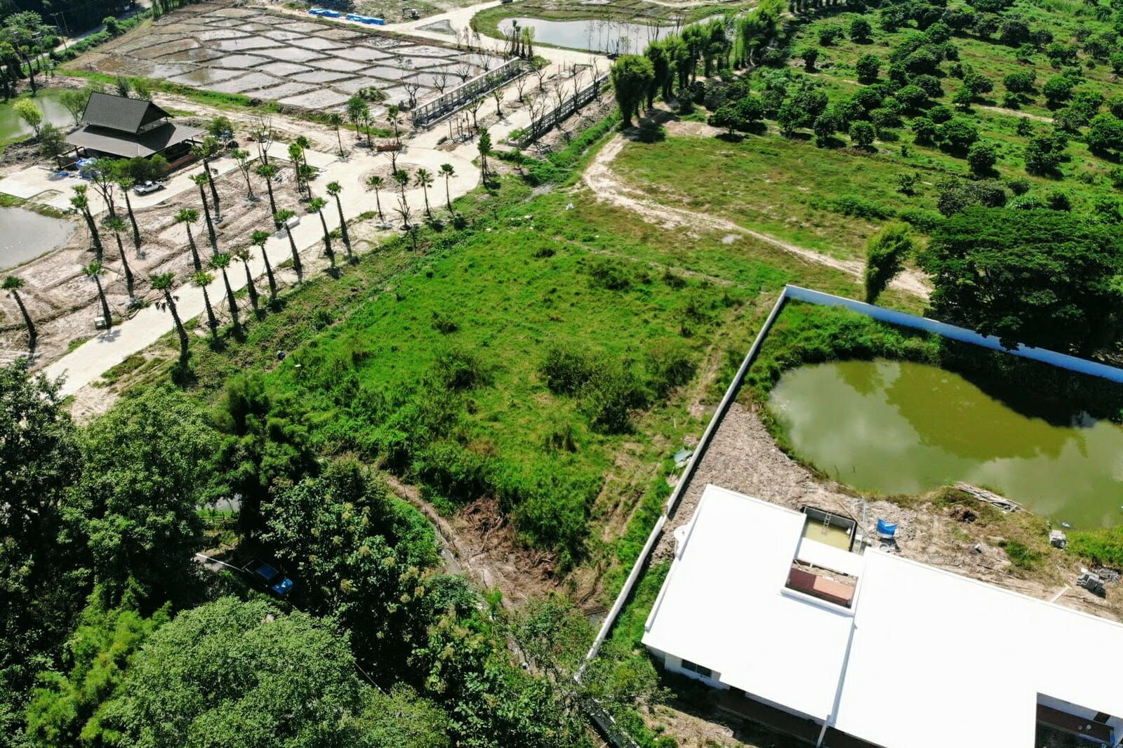 2+ Rai of Mountain View Land in Mae Rim