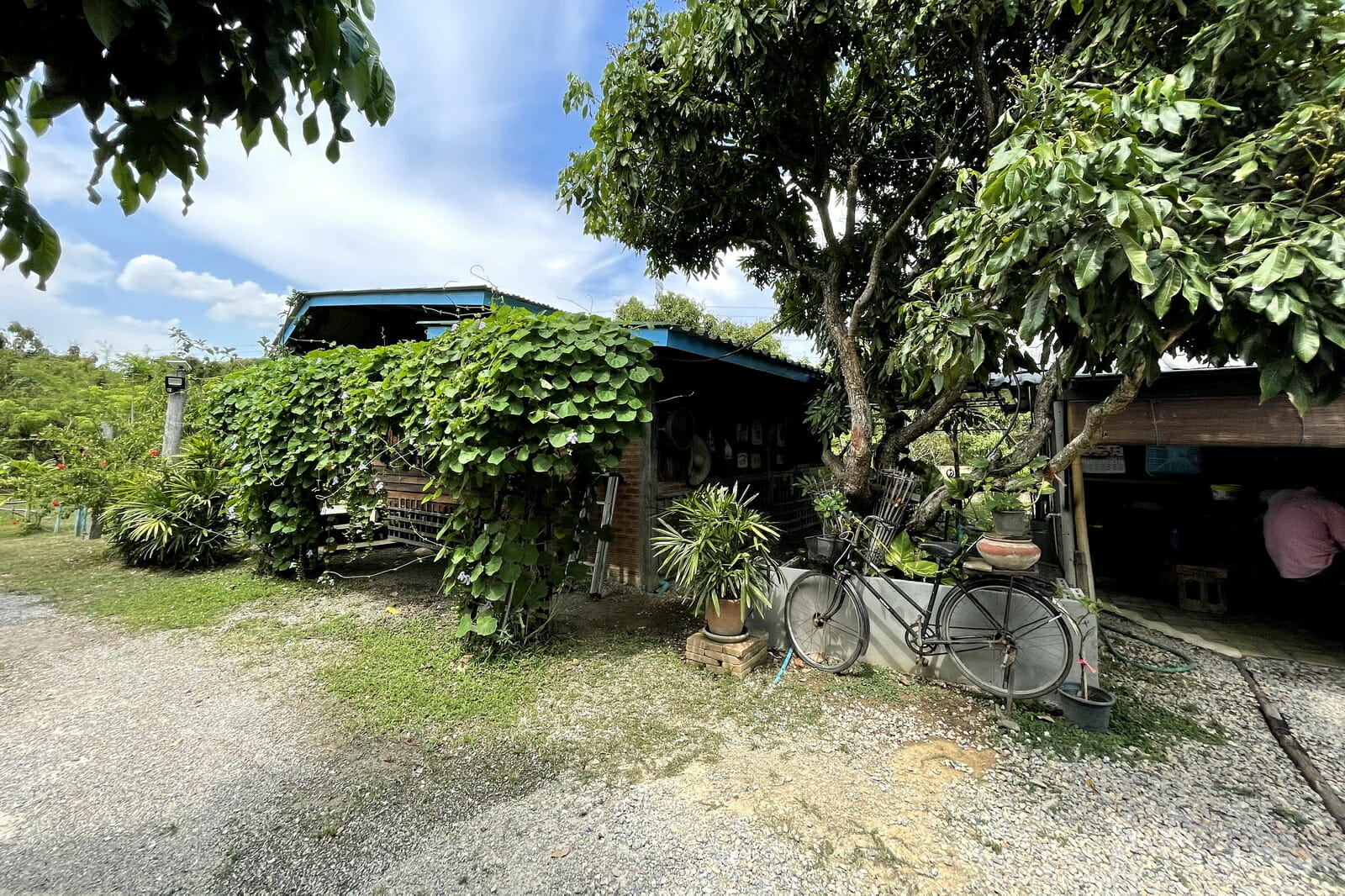 6.75 Rai for sale in Saraphi