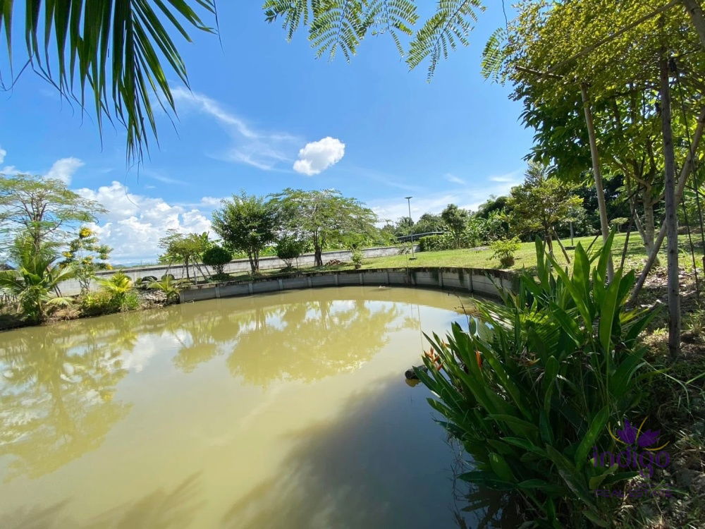 Established farm with fruit trees, flowering trees, fish pond and rice field. Water and electricity ready in Doi Saket countryside , Chiang Mai