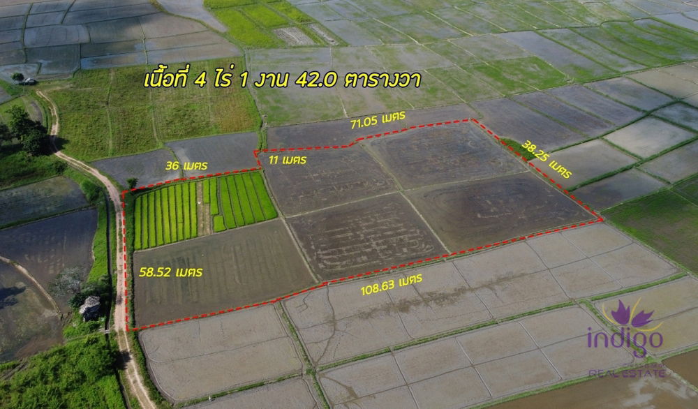 Beautiful rice field land surrounded by mountains land size 5 rai 2 ngan 22 wah in Saluang, Mae Rim, Chiang Mai