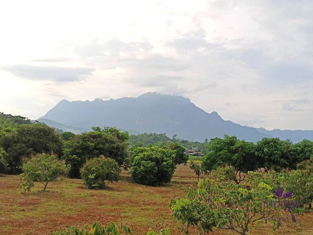 Land for sale 6 Rai 3 Ngan 18 Sqw Doi Luang Chiang Dao view, Mae Na,Chiang Dao, Chiang Mai