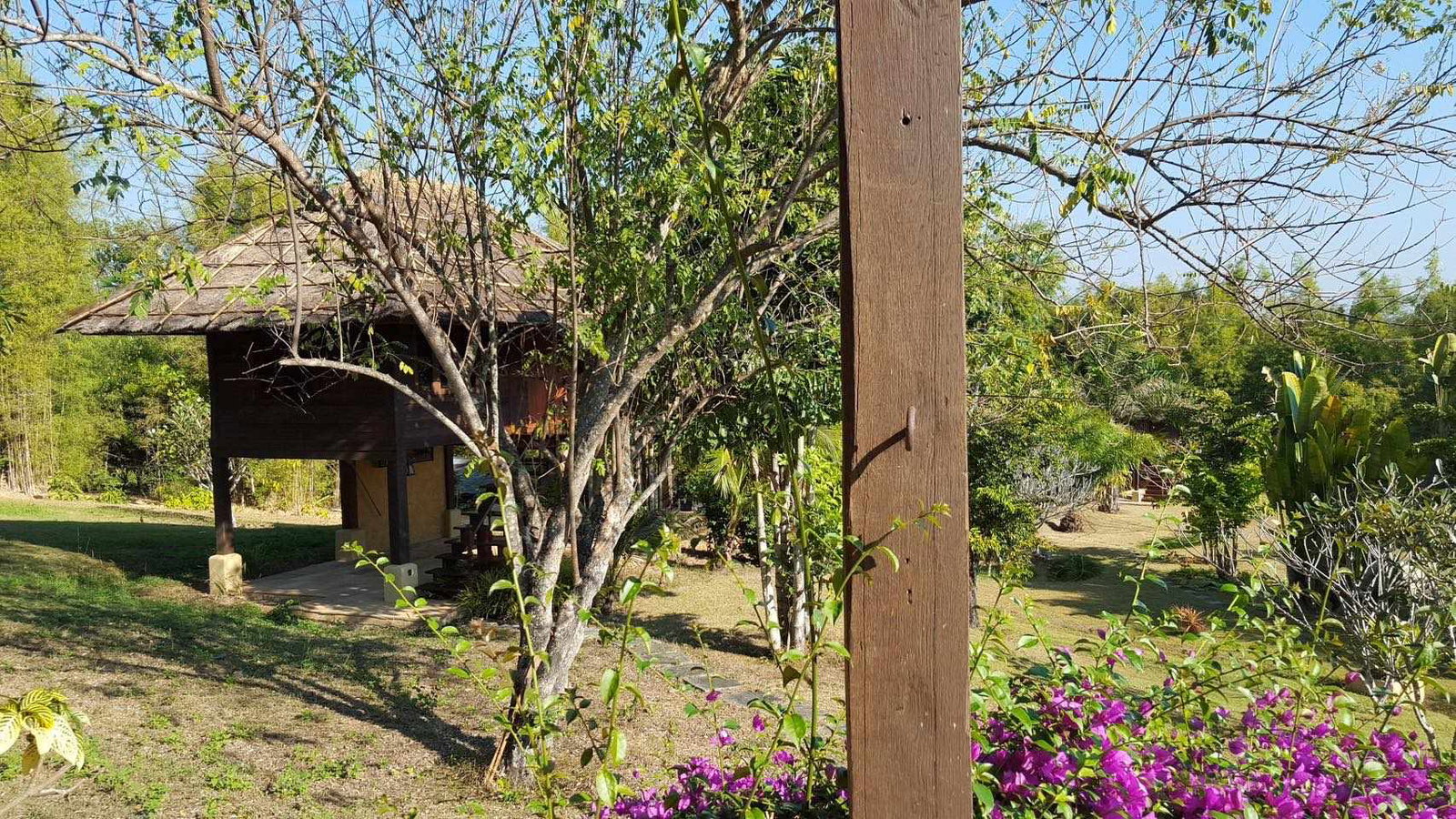 property_image