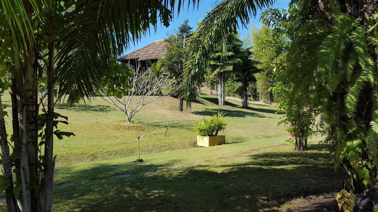 property_image