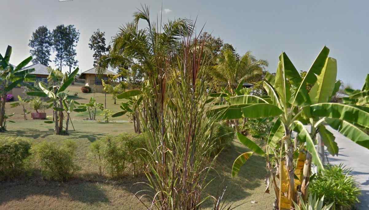 property_image