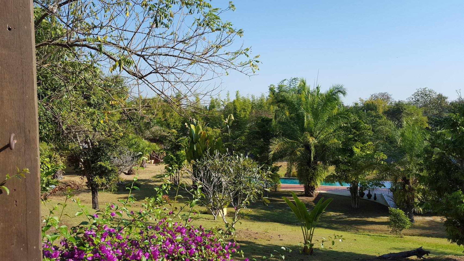 property_image