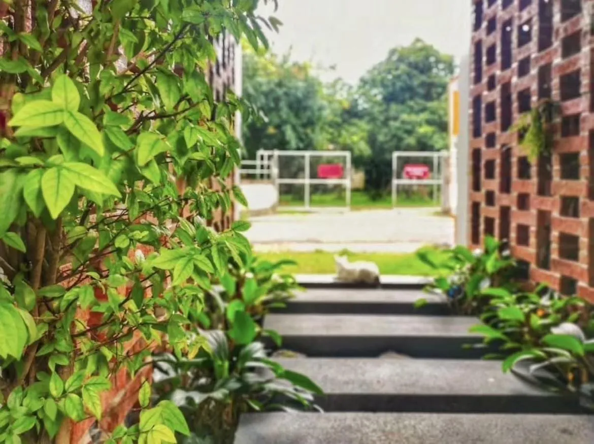 property_image