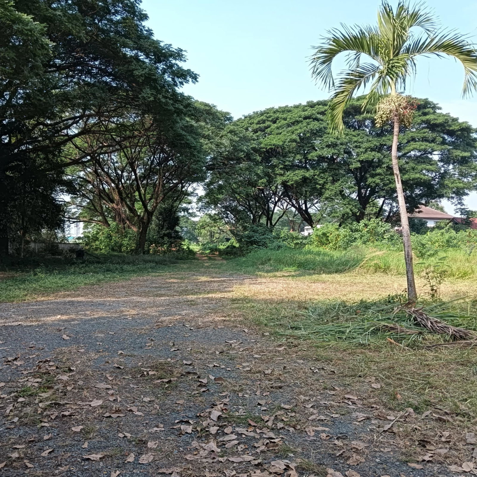 property_image