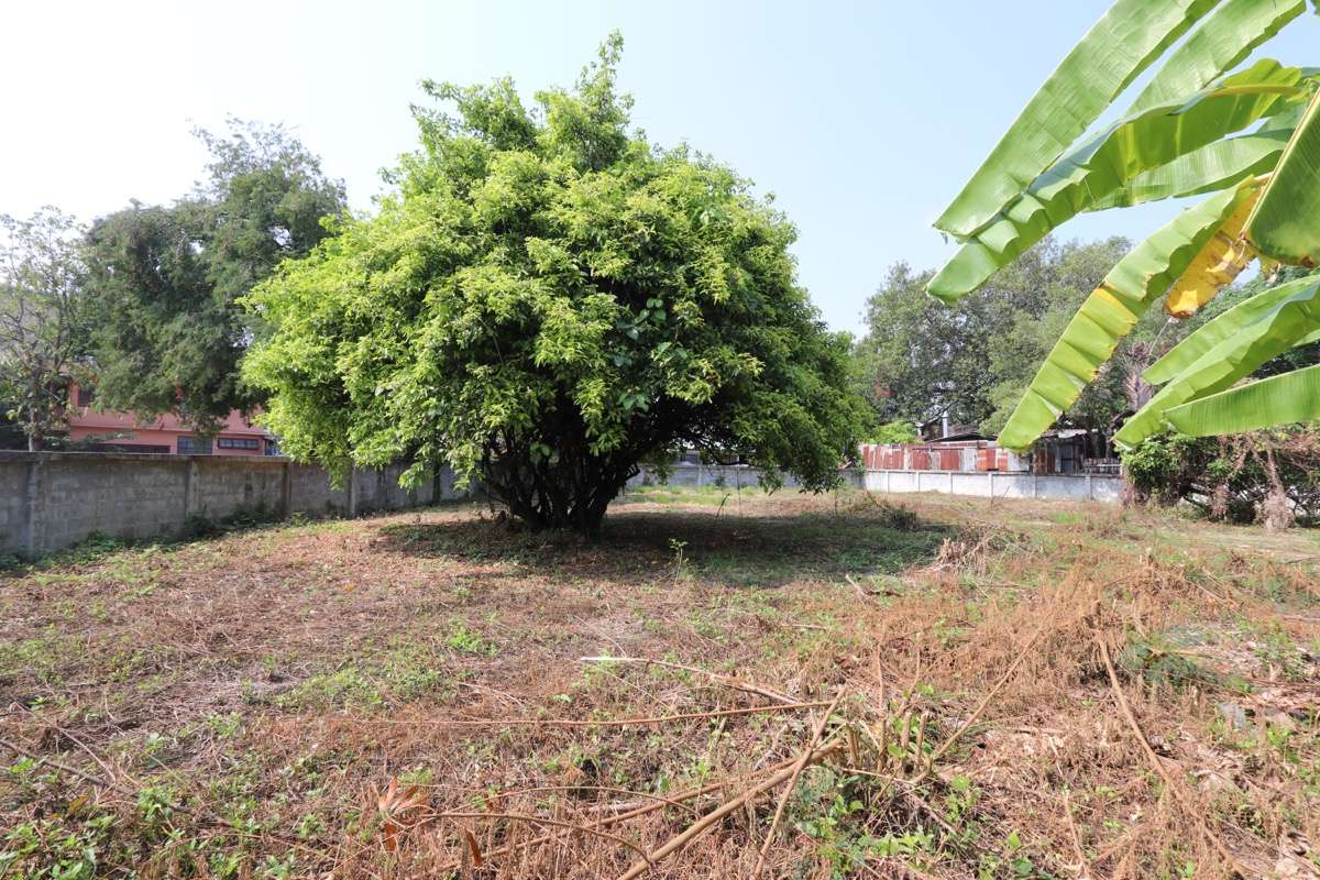 Prime City Centre Land Near Chiang Mai Gate